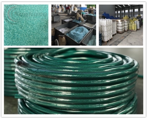garden-hose-plant-495x400